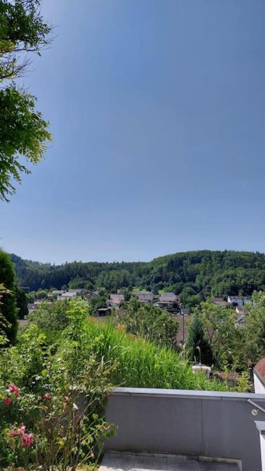 Apartment Talblick Kandern Luaran gambar